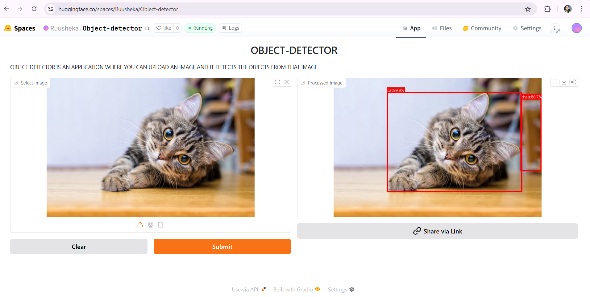 Object Detector
